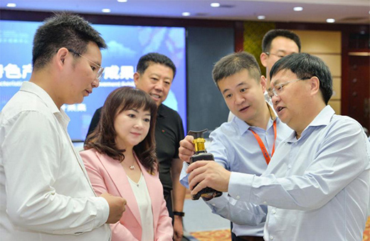 第三屆河北國(guó)際工業(yè)設(shè)計(jì)周定州分會(huì)場(chǎng)啟幕